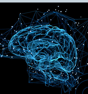 Neuropsicologia Clínica | Turma 13